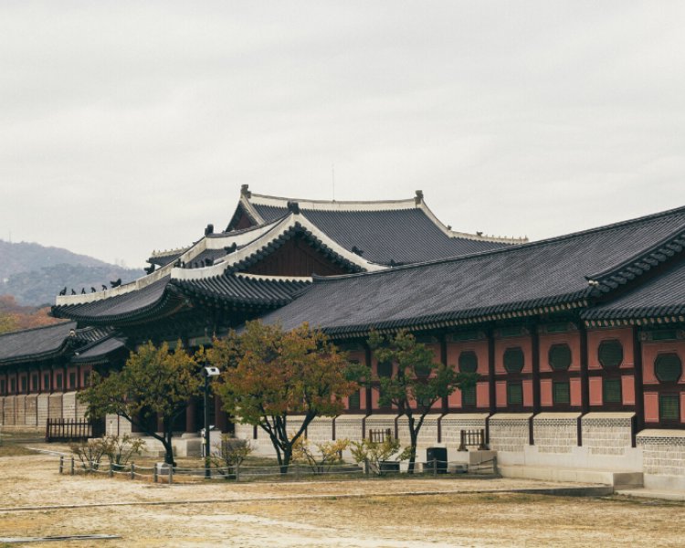 6 vilde ting i Sydkorea